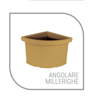 images/categorieimages/Angolare Millerighe intro2.png